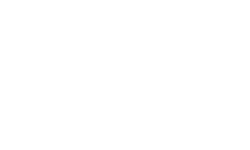 Digicue.Scan